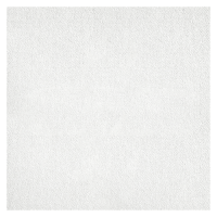 Потолочная плита Рокфон Тропик A 15/24 600x600x20