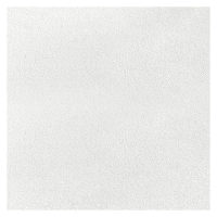 Потолочная плита Рокфон Артик A 15/24 600x600x15