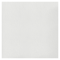 Потолочная плита Рокфон Пасифик A 15/24 1200x600x12