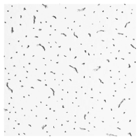 Плита потолочная Армстронг BAJKAL Board 600x600x12