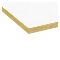 Потолочная плита Экофон Алаид А NE T15/T24 600x600x15 купить в #REGION_NAME_PP# | Авангард